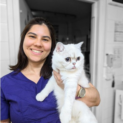 Alex Quevedo, Best Friend pet care