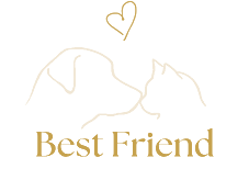 Best Friend